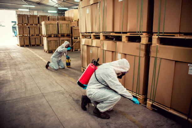 Flea Control Services in Berwick, LA