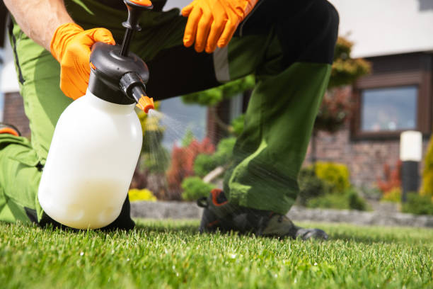 Best Rodent Control Near Me  in Berwick, LA