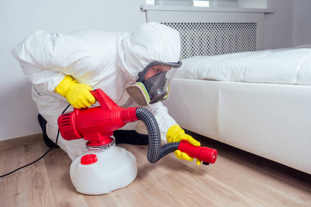 Best Bed Bug Extermination  in Berwick, LA