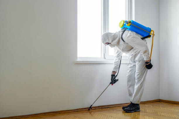 Best Residential Pest Control  in Berwick, LA