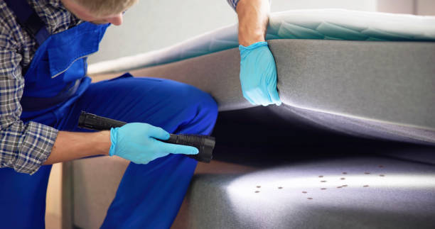 Best Residential Pest Control  in Berwick, LA