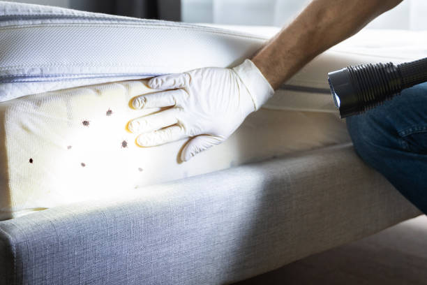 Best Affordable Pest Control Services  in Berwick, LA