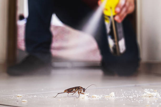 Best Pest Control for Businesses  in Berwick, LA