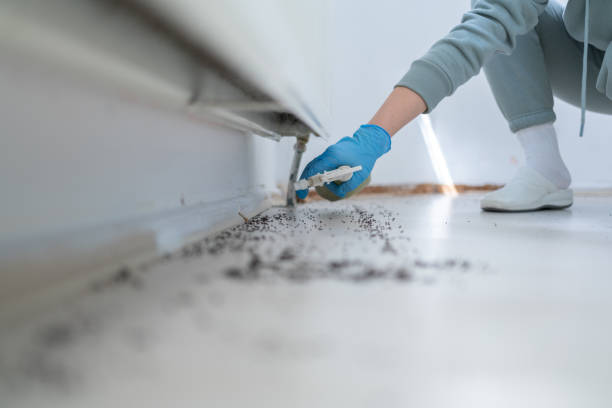 Best Emergency Pest Control  in Berwick, LA
